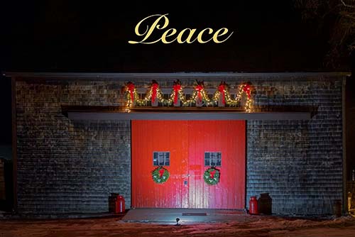 Red is enjoying the late summer sunshine!